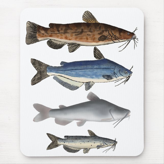 Tapis De Souris Groupe de poissons de l'Amérique du Nord (Devant)