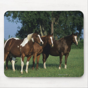Tapis De Souris Groupe de position de chevaux de peinture