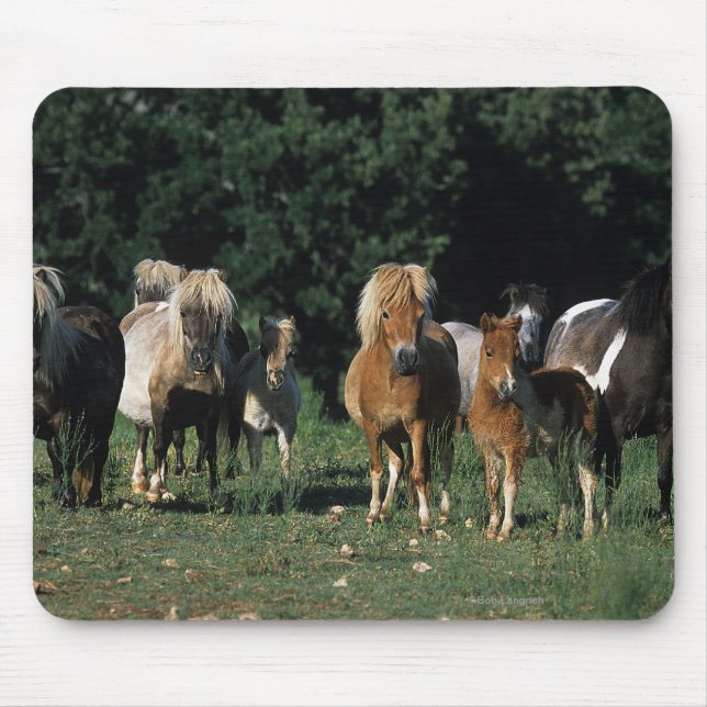 Tapis De Souris Groupe de poulains miniatures (Devant)