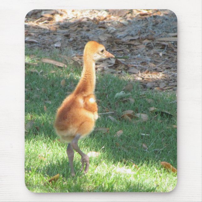 Tapis De Souris Grue de Sandhill de bébé (Devant)