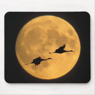 Tapis De Souris Grues à sandre   Réserve nationale de faune