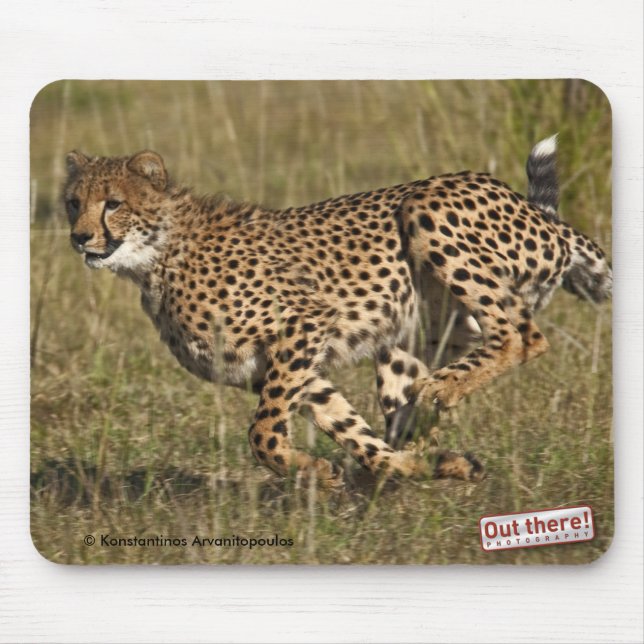 Tapis De Souris Guépard (Devant)