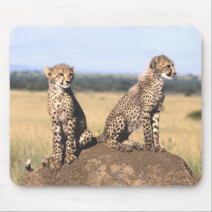 Tapis De Souris Guépard CUB Mousepad