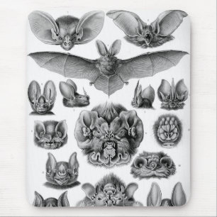 Tapis De Souris Haeckel Bats