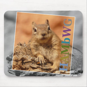 Tapis De Souris HAMbyWG - Plaque de souris - Écureuil célèbre
