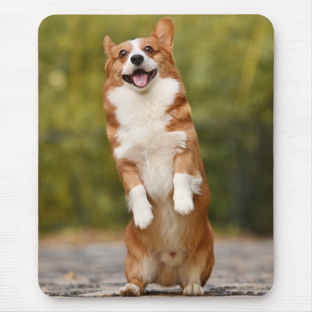 Tapis De Souris Happy Corgi Puppy Standing Photo (Devant)