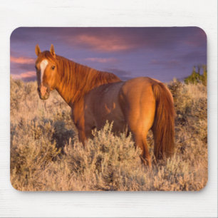 Tapis De Souris Harney County Wild horse tient alerte