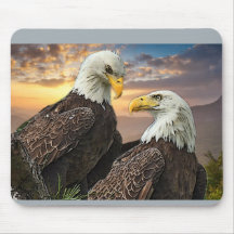 Harriet et M15 quand je regarde dans vos yeux