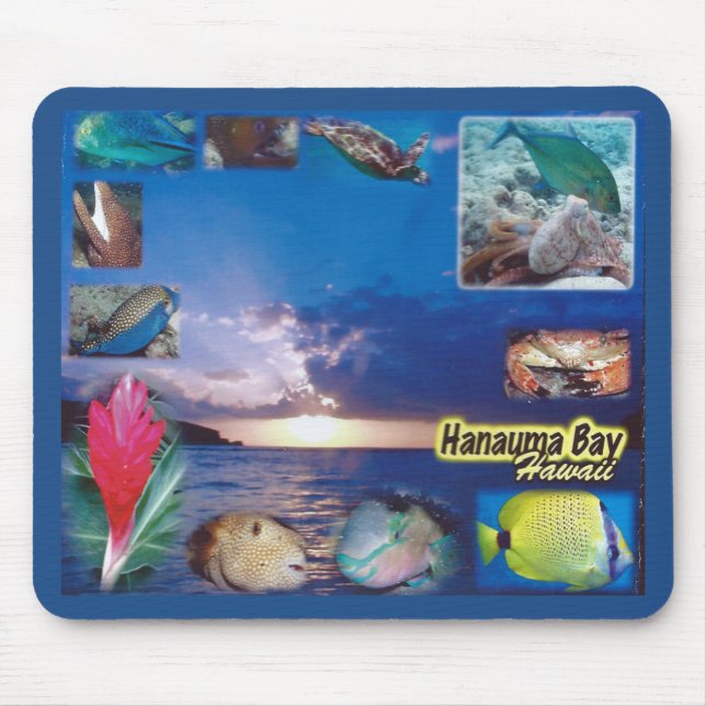 Tapis De Souris Hawaii Hanauma Bay Marine Life (Devant)