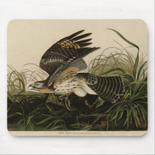 Tapis De Souris Hawk d'hiver, les oiseaux d'Amérique de John James