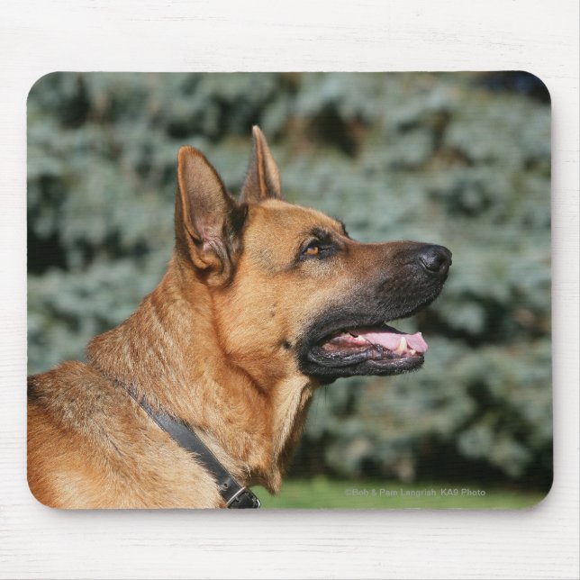 Tapis De Souris Headshot 1 de berger allemand (Devant)
