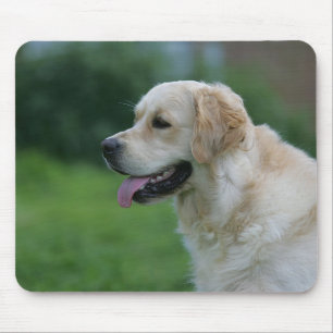 Tapis De Souris Headshot 2 2 de golden retriever