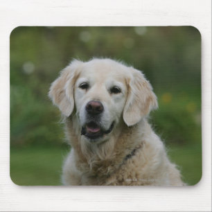 Tapis De Souris Headshot 2 de golden retriever