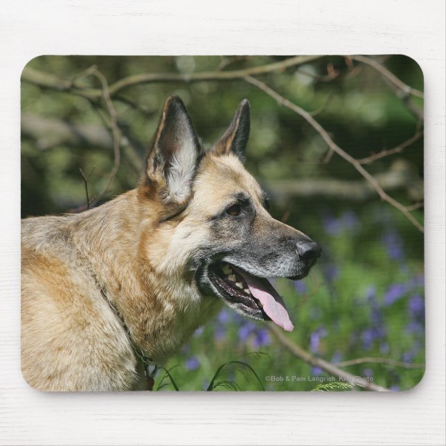 Tapis De Souris Headshot 3 de berger allemand (Devant)