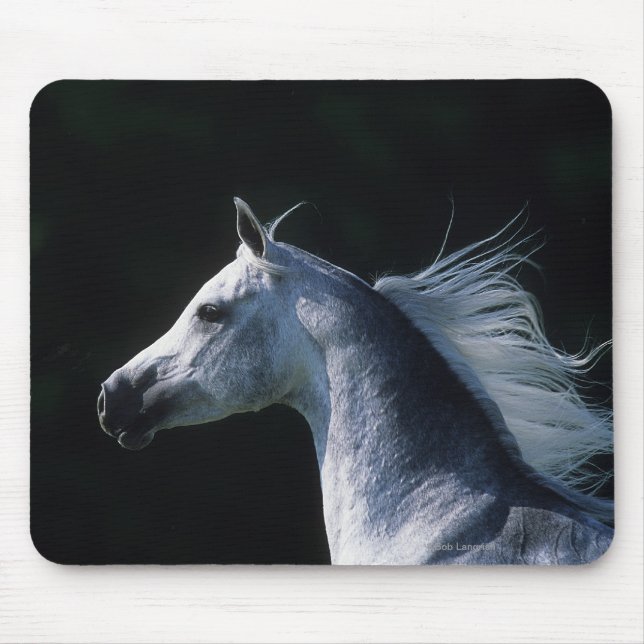 Tapis De Souris Headshot arabe 2 de cheval (Devant)