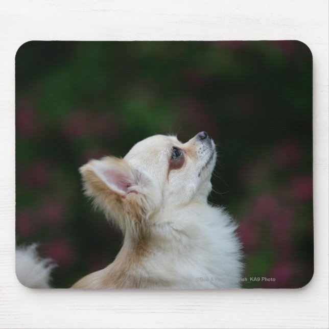 Tapis De Souris Headshot aux cheveux longs 2 de chiwawa (Devant)