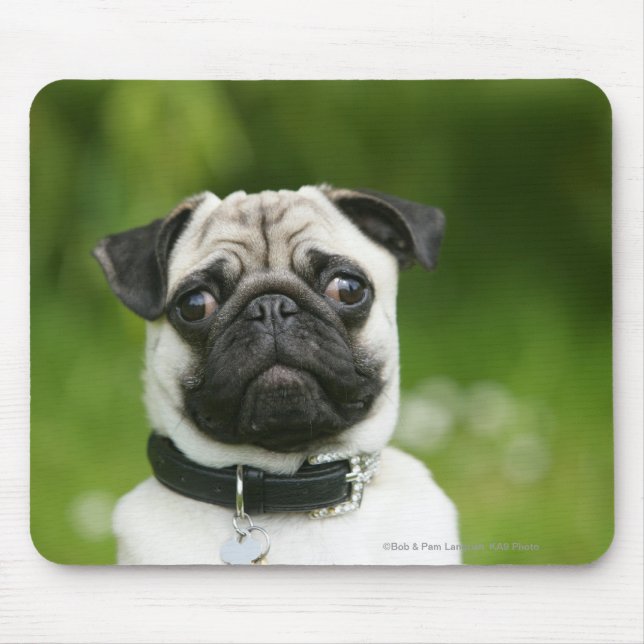 Tapis De Souris Headshot de carlin (Devant)