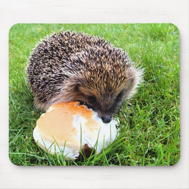 TAPIS DE SOURIS HÉDGEHOG (Devant)