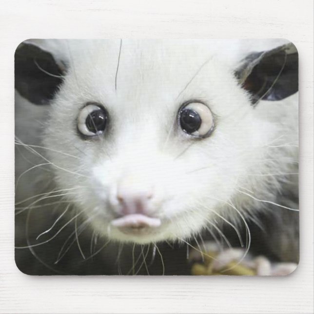 Tapis De Souris Heidi L'Opossum Osé À Croix (Devant)
