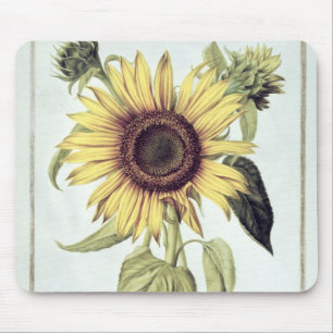 Tapis De Souris Helianthus annuus de 'Velins du Roi Vol.36'
