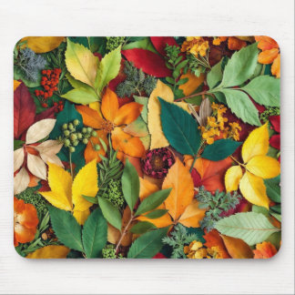 Tapis De Souris Herboristerie