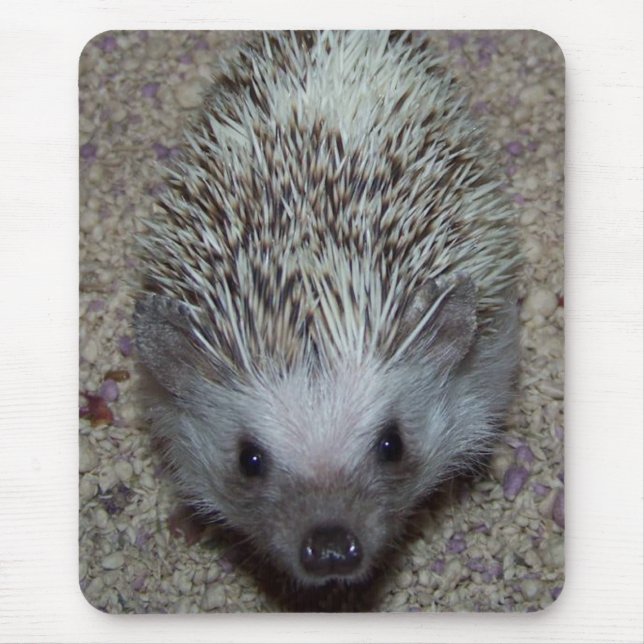 Tapis De Souris Hérisson (Devant)