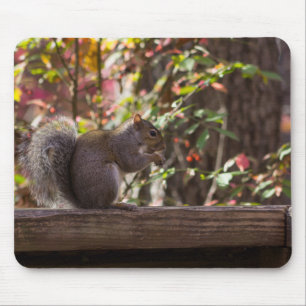 Tapis De Souris Heure des écureuils