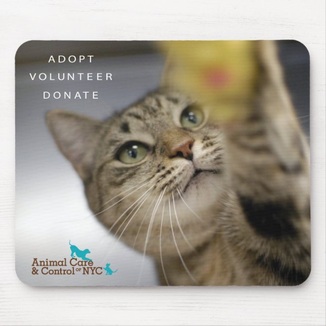 Tapis de souris "heure pour le jeu " (Devant)