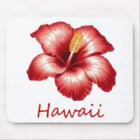 hibiscus d'Orange