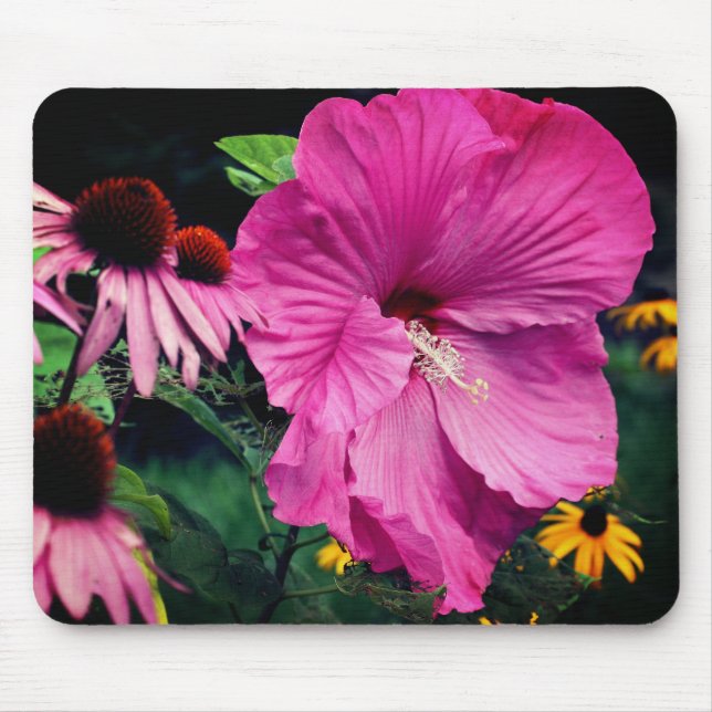 Tapis De Souris Hibiscus Et Amis Fleurs (Devant)