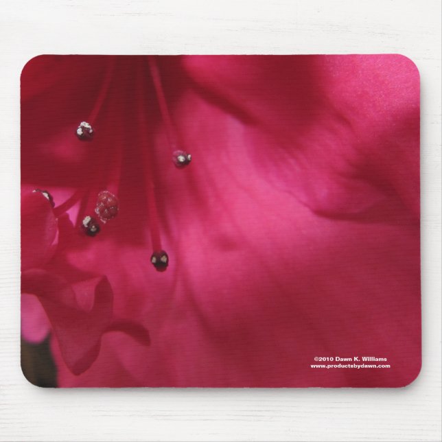 Tapis De Souris Hibiscus Mousepad (Devant)
