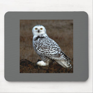 Tapis De Souris Hibou