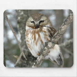 Tapis De Souris Hibou de neige