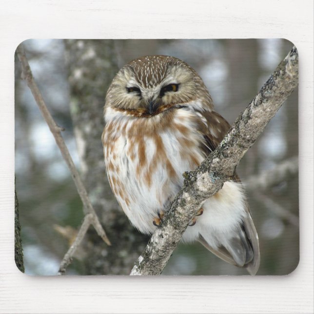 Tapis De Souris Hibou de neige (Devant)