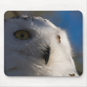 Tapis De Souris Hibou de Snowy White