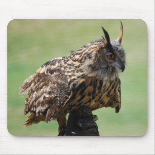 Tapis De Souris Hibou Mousepad