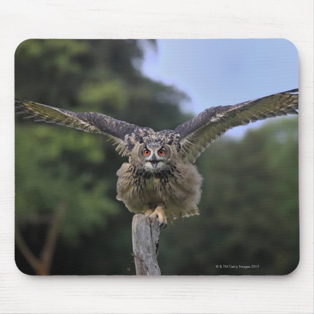 Tapis De Souris Hiboux de l'aigle (Bubo bubo) (Devant)