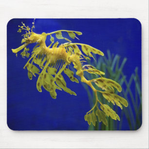 Tapis De Souris Hippocampe