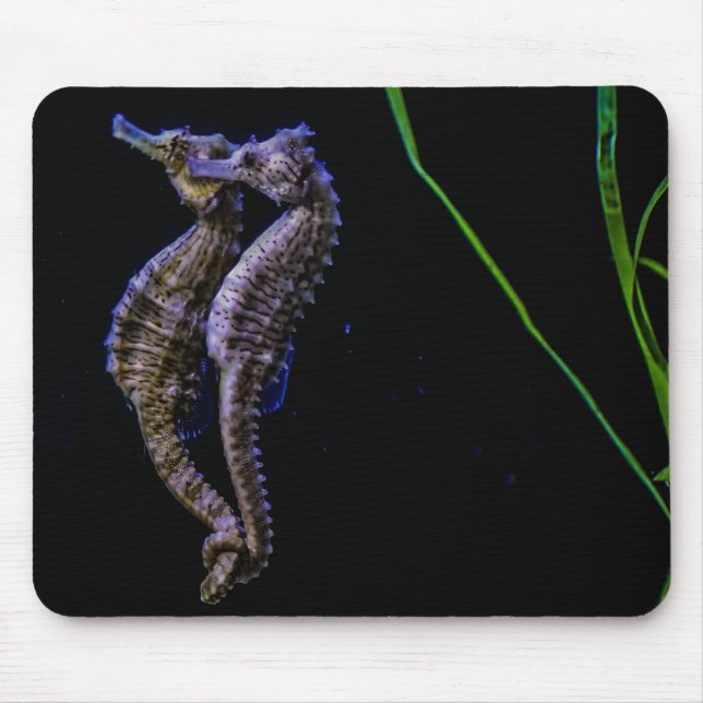 Tapis De Souris Hippocampe Mousepad (Devant)