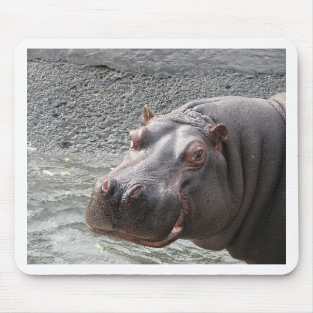 Tapis De Souris Hippopotame hardi ! (Devant)
