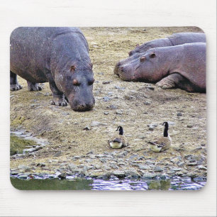 TAPIS DE SOURIS HIPPOS