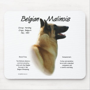 Tapis De Souris Histoire des Malinois belges ; Tout sur les Malino