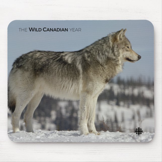 Tapis De Souris Hiver - Loup (Devant)