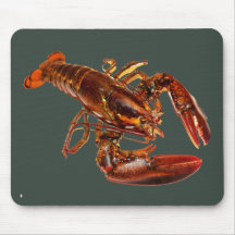 Homard