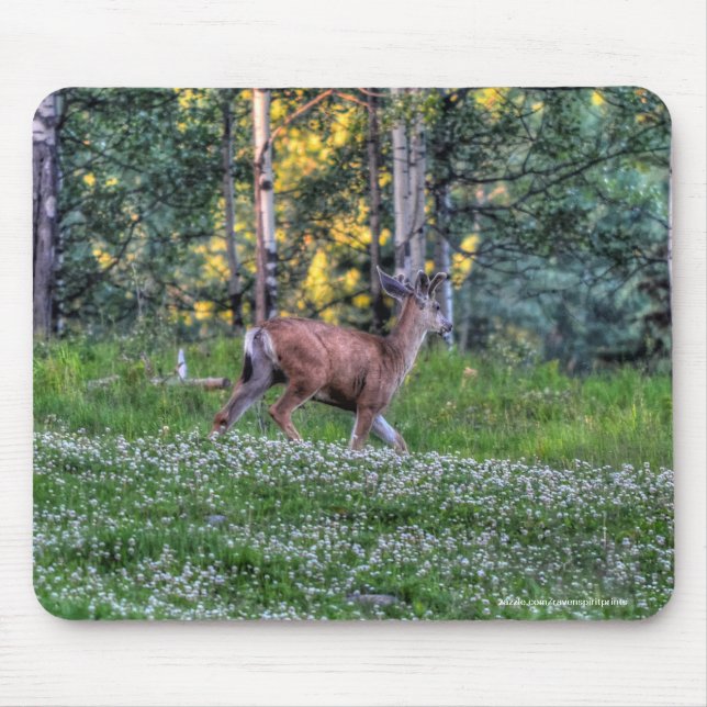 Tapis De Souris Homme Deer Buck sur Ranch Wildlife Photo (Devant)