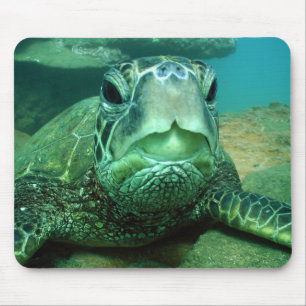 Tapis De Souris hono