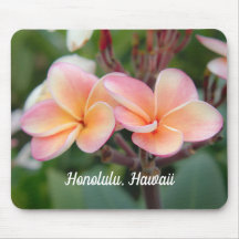 Honolulu Hawaii Plumeria Pad