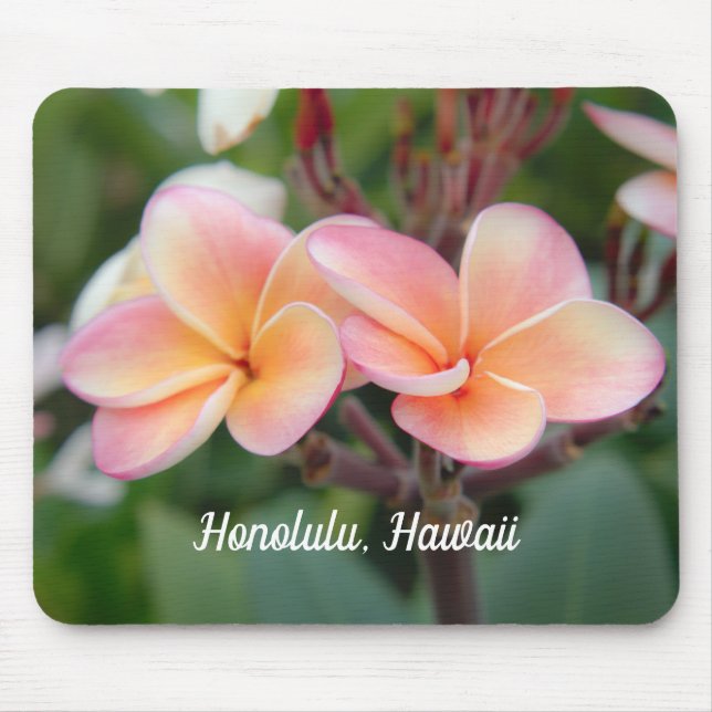 Tapis De Souris Honolulu Hawaii Plumeria Pad (Devant)