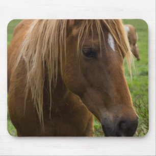 Tapis De Souris Horse Hello