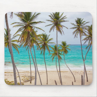 Tapis De Souris Horse Plage tropicale avec Palmiers